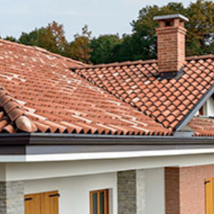 Rikonstruksion catie Rikonstruksion catie